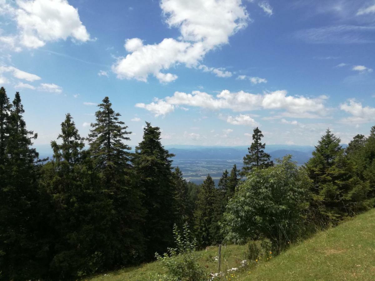 Apartmaji Vrhovnik Cerklje na Gorenjskem Exterior foto